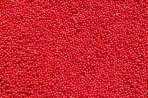 ad2c00a0-0525-4683-bfa3-32e350aad8ba